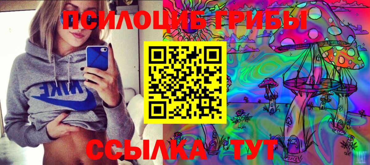 Псилоцибиновые грибы Cubensis Егорьевск