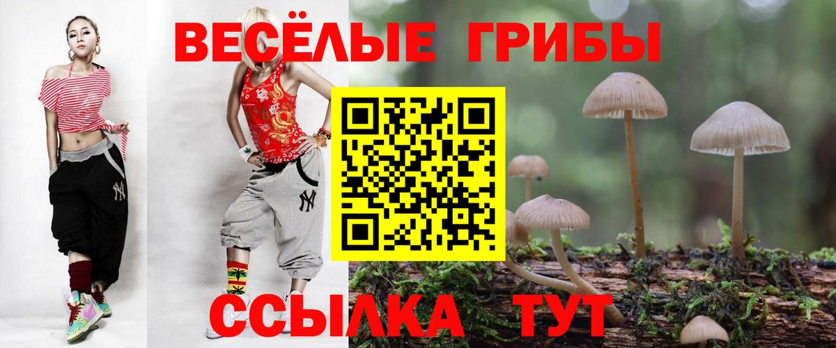 Егорьевск  Псилоцибиновые грибы ЛСД  Вход с VPN  Галлюциногенные грибы Magic Shrooms 